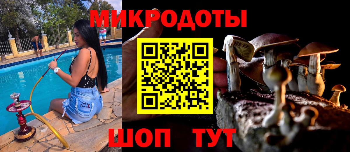 Златоуст  Галлюциногенные грибы Magic Shrooms  Вход с VPN  Галлюциногенные грибы MAGIC MUSHROOMS 
